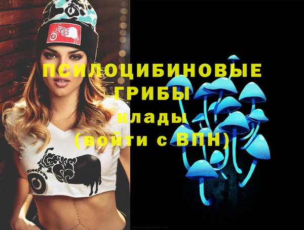 PSILOCYBIN Арсеньев